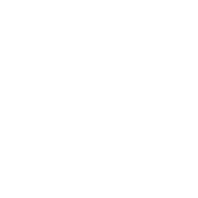 NEW INVICTUS Logo